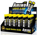 All Stars Amino 9500 Ampullen Orange