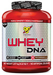 BSN DNA WHEY